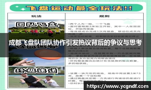 成都飞盘队团队协作引发热议背后的争议与思考