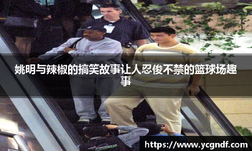 雷火竞技