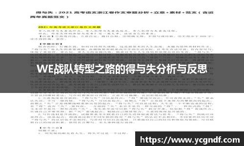 WE战队转型之路的得与失分析与反思