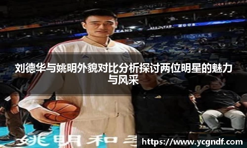 刘德华与姚明外貌对比分析探讨两位明星的魅力与风采