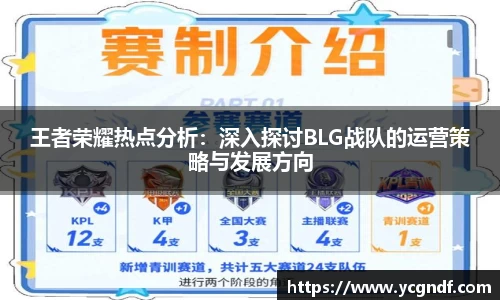 王者荣耀热点分析：深入探讨BLG战队的运营策略与发展方向