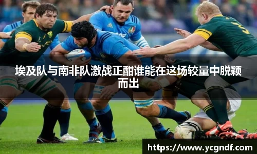 埃及队与南非队激战正酣谁能在这场较量中脱颖而出